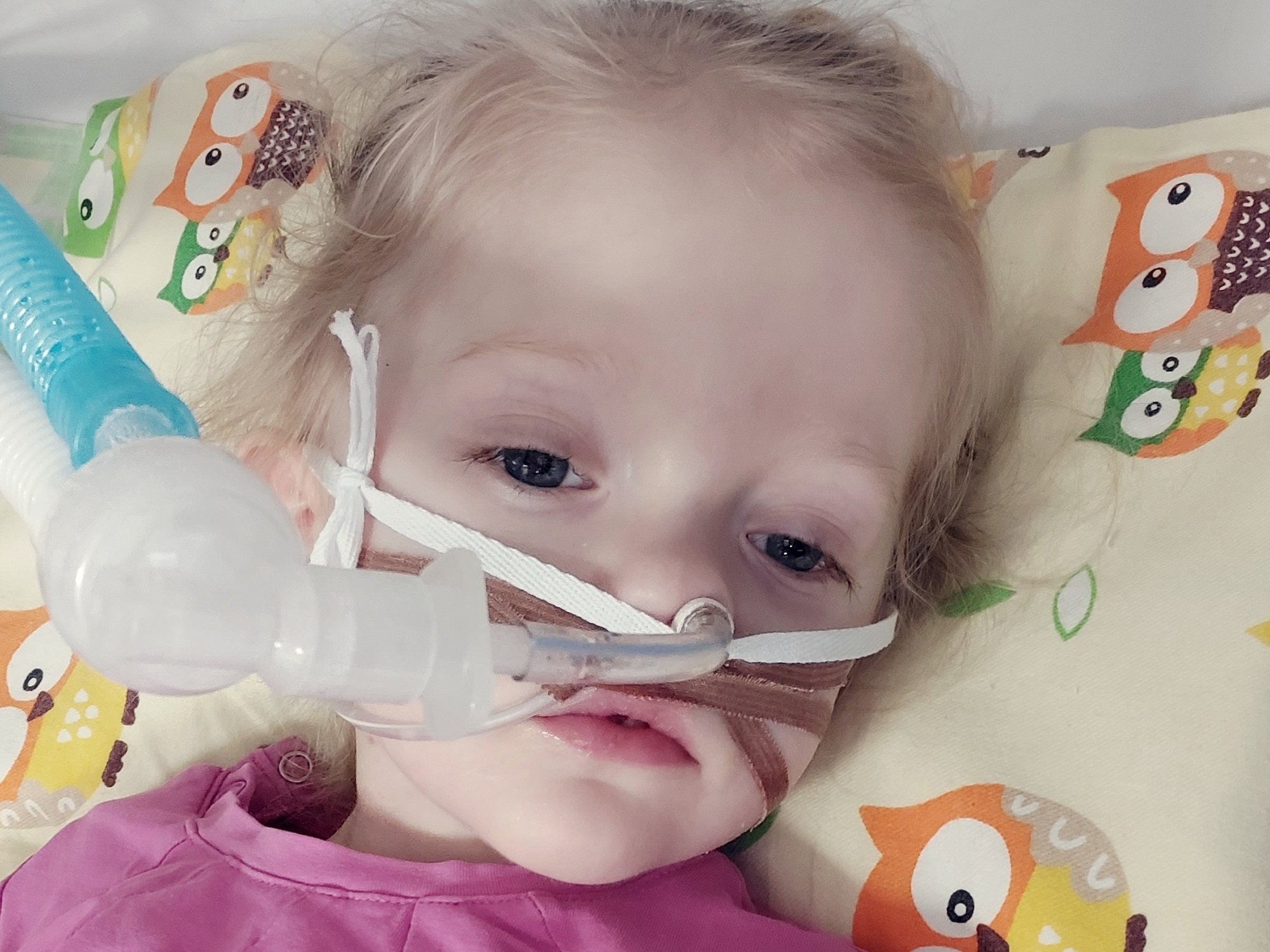 Liliana Jabłońska - zdjęcie główne