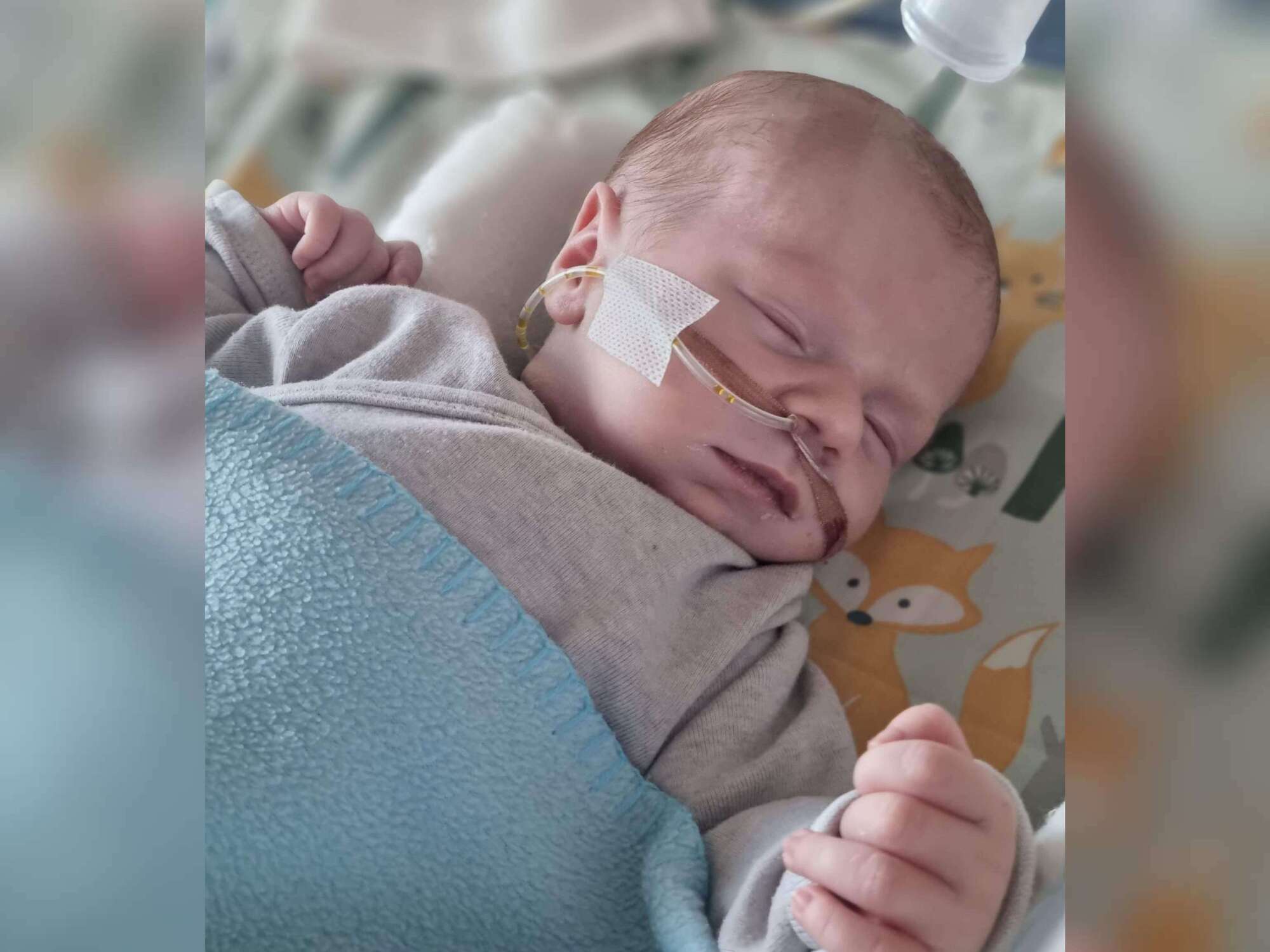 Kubuś Sienicki - main photo