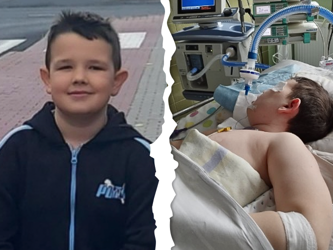 Maksio Krawczyk - zdjęcie główne