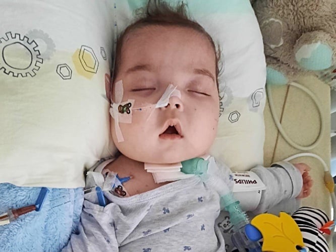 Olek Jurga - zdjęcie główne