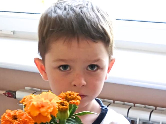 Antek Limanówka - zdjęcie główne