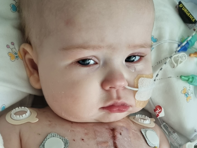 Gaja Butkiewicz - main photo