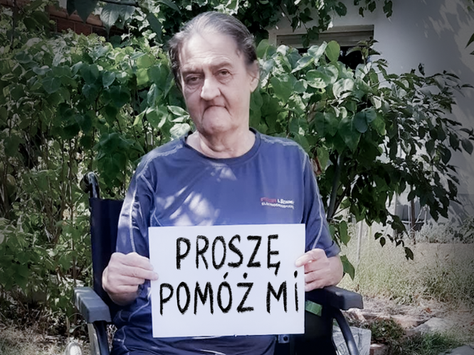 Alina Krenz - zdjęcie główne