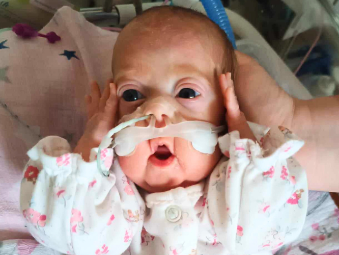 Wiktoria Sodkiewicz - main photo