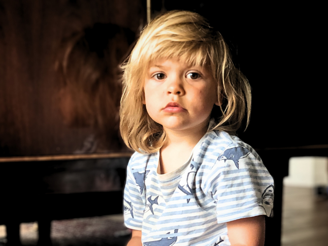 Maya Landis - main photo