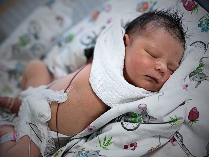 Mia Momot - zdjęcie główne