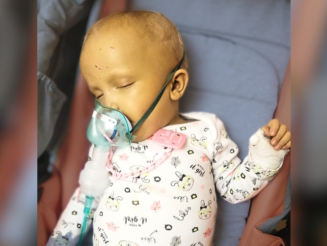 Zuzia Poloczek - zdjęcie główne