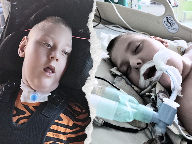 Mikołajek Zastawnik - zdjęcie główne