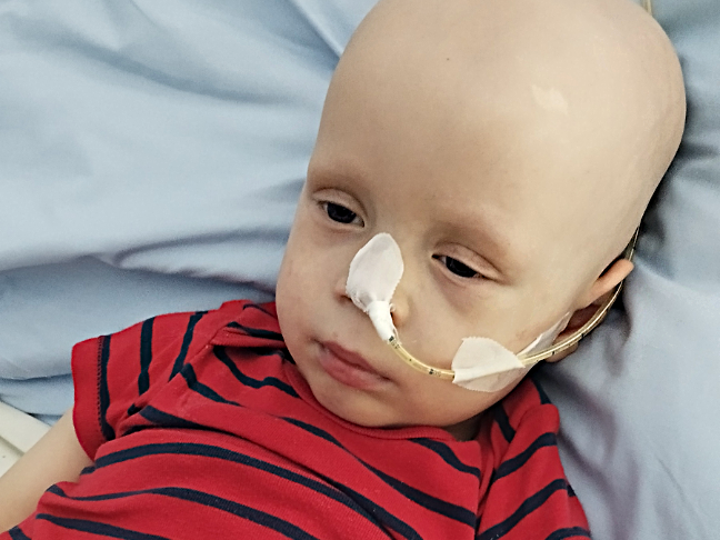 Staś Wójcik - zdjęcie główne