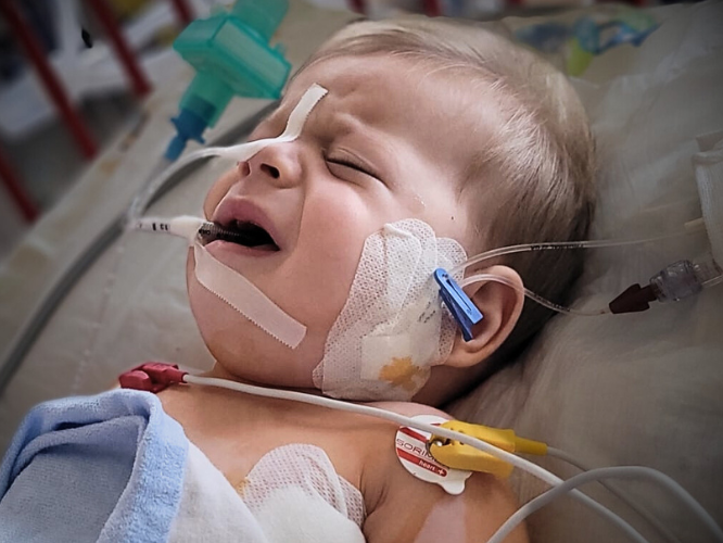 Konrad Wedeł - zdjęcie główne