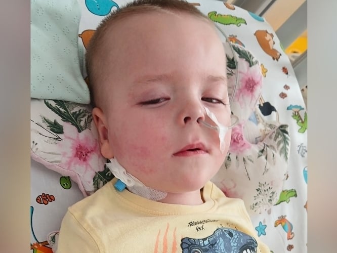 Jan Koziara - zdjęcie główne