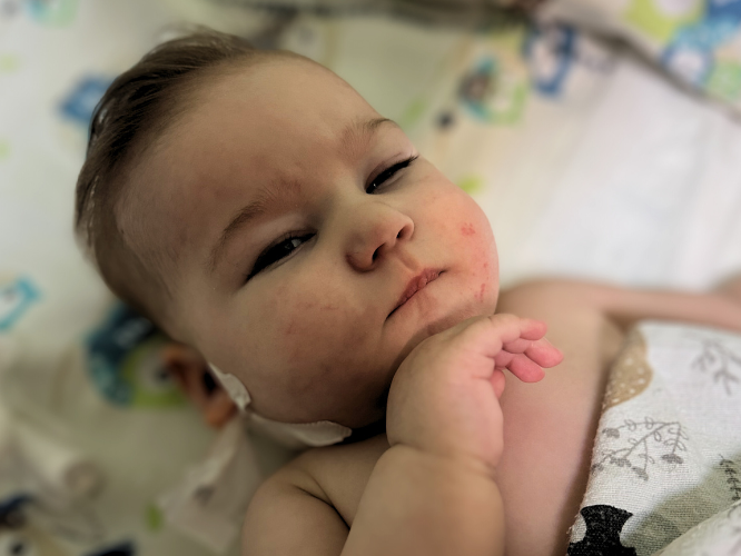 Bożena Meleshko - zdjęcie główne