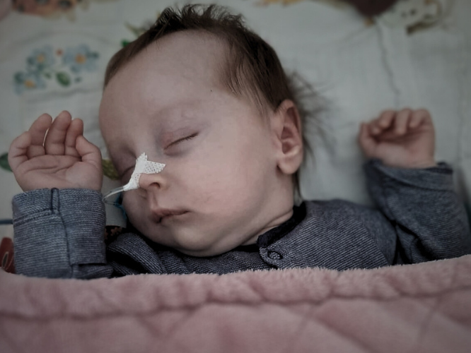 Asia Stefanoff - zdjęcie główne