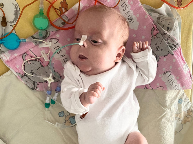 Laura Walaszczyk - zdjęcie główne