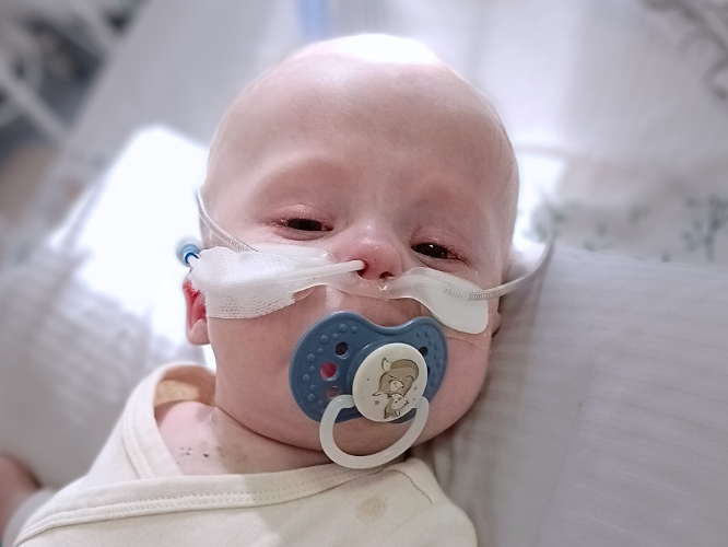 Leoś Kuras - zdjęcie główne