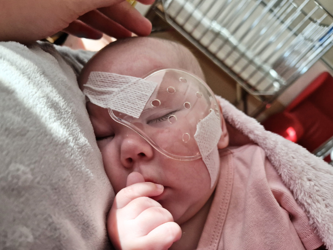 Łucja Cichowska - zdjęcie główne