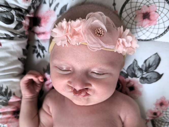 Gaja Żukowska - zdjęcie główne