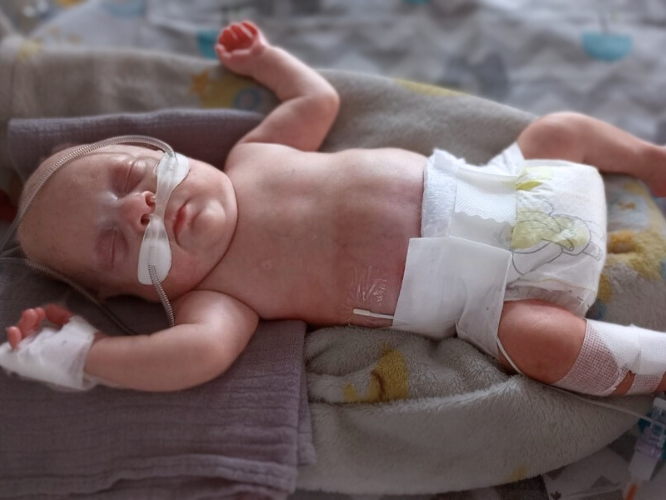 Maciuś Cyganik - main photo