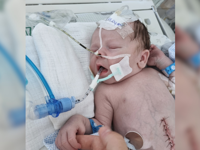 Julian Trzciński - zdjęcie główne