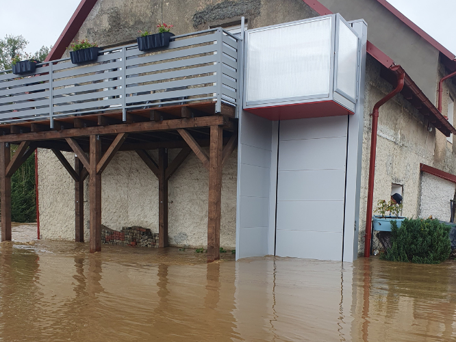 Rodzina Pfeifer - zdjęcie główne
