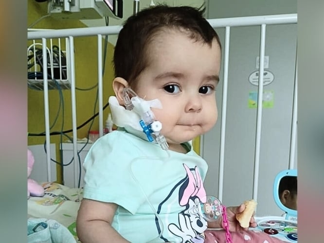 Grażynka Wereszyńska - zdjęcie główne