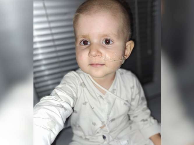 Amelia Bartkowska - zdjęcie główne