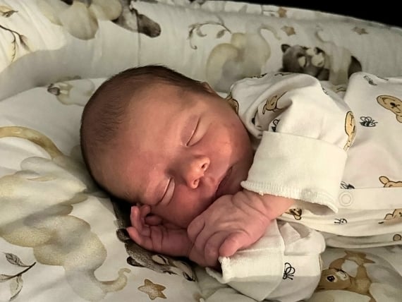 Franek Rybicki - zdjęcie główne