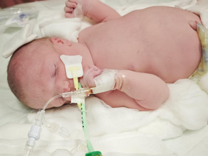 Patrycja, Wiktor, Mia i Vanessa Stachowiak, Amelia Motyka - main photo