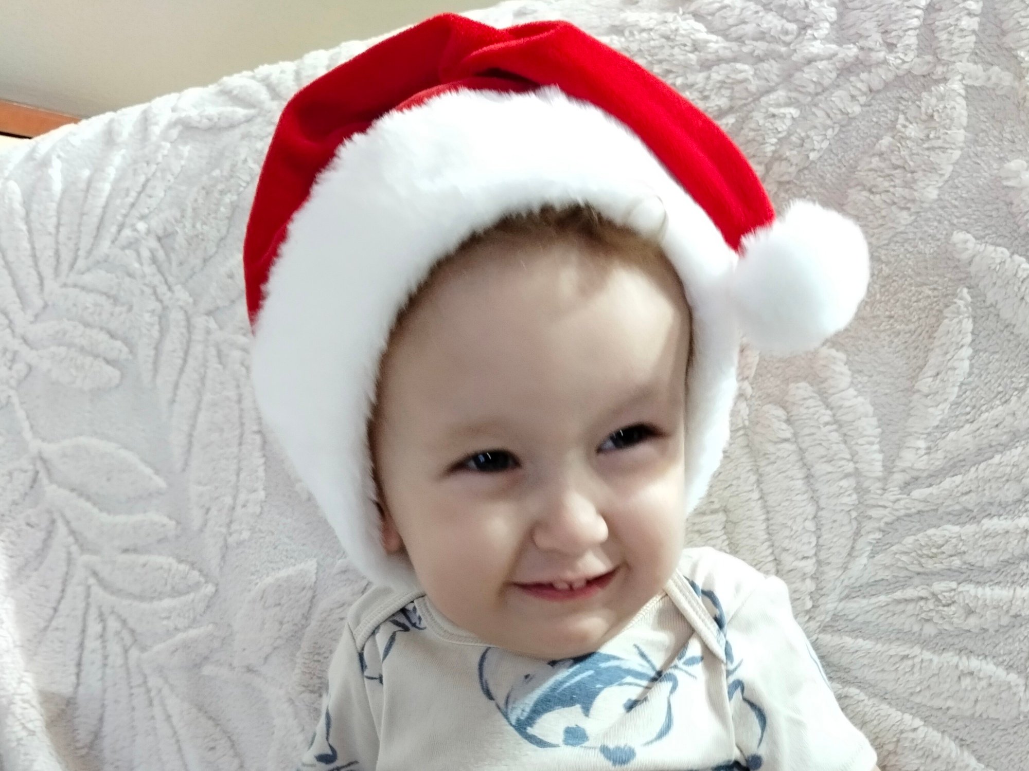 Franio Chwostek - zdjęcie główne