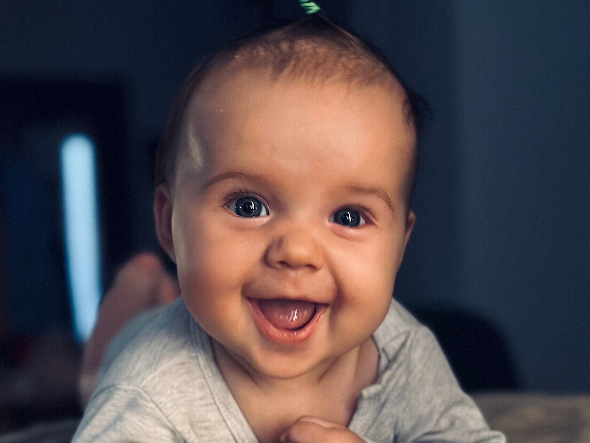 Dąbrówka Aleksander - zdjęcie główne