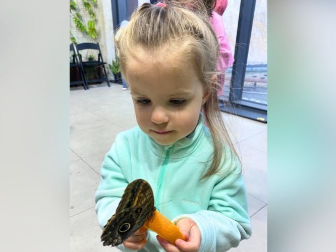 Faustynka Mączyńska - zdjęcie główne