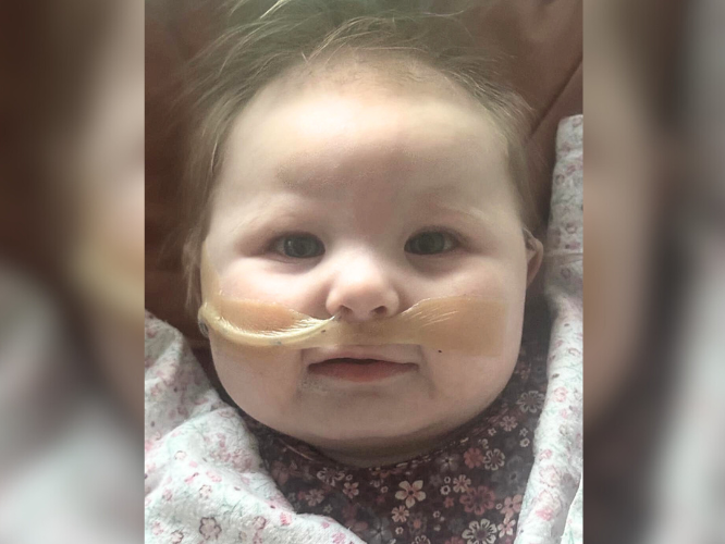 Lili Myga - zdjęcie główne