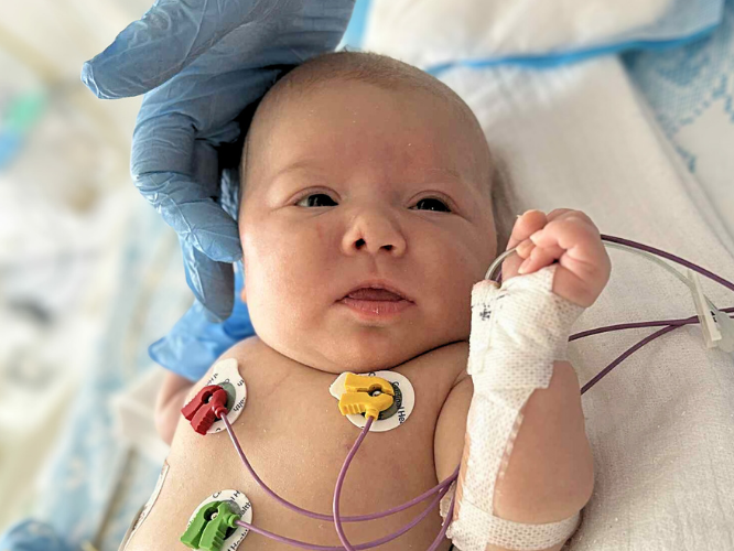 Pola Katryniak - zdjęcie główne