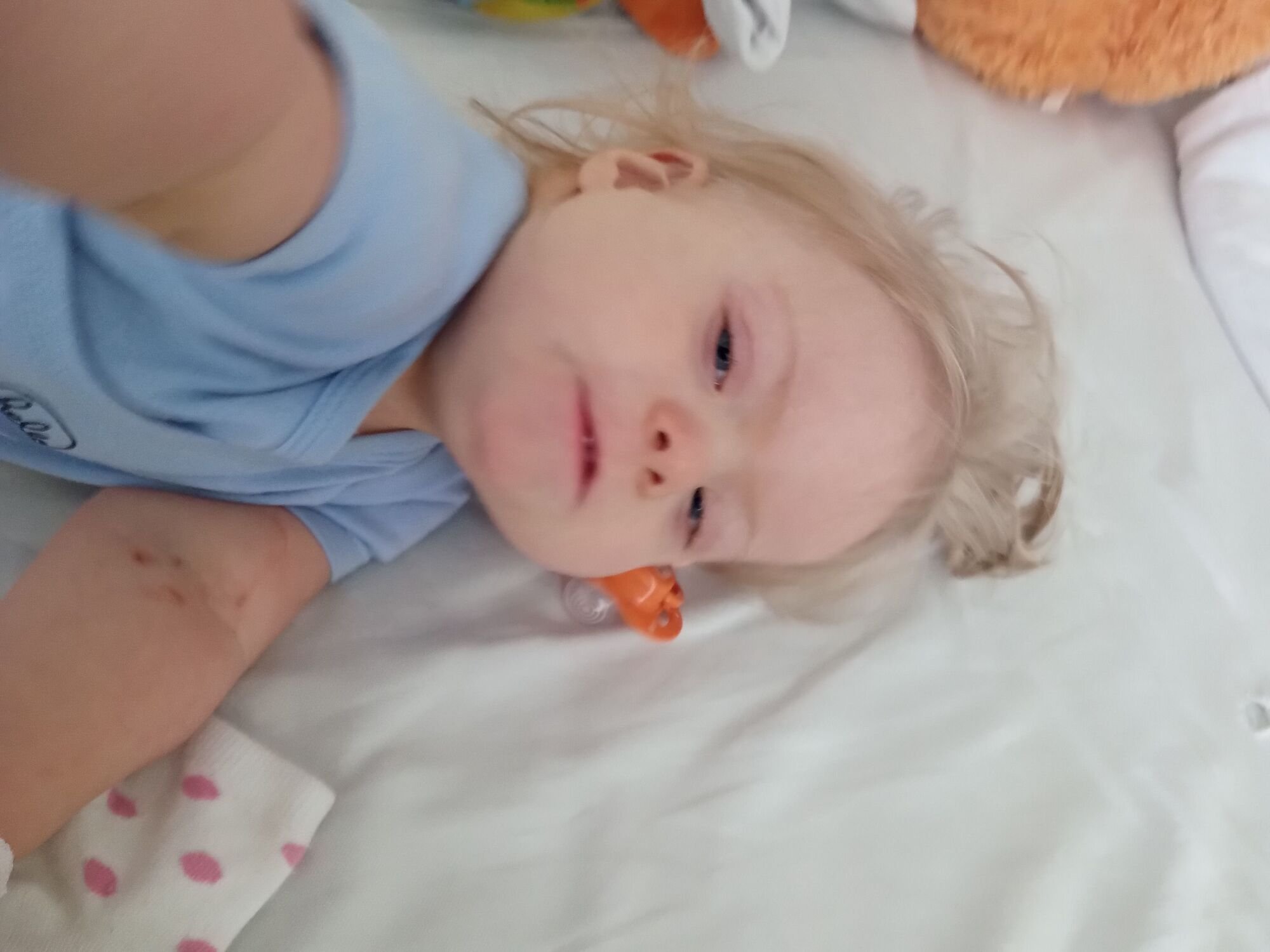 Anastazja Drążek - zdjęcie główne