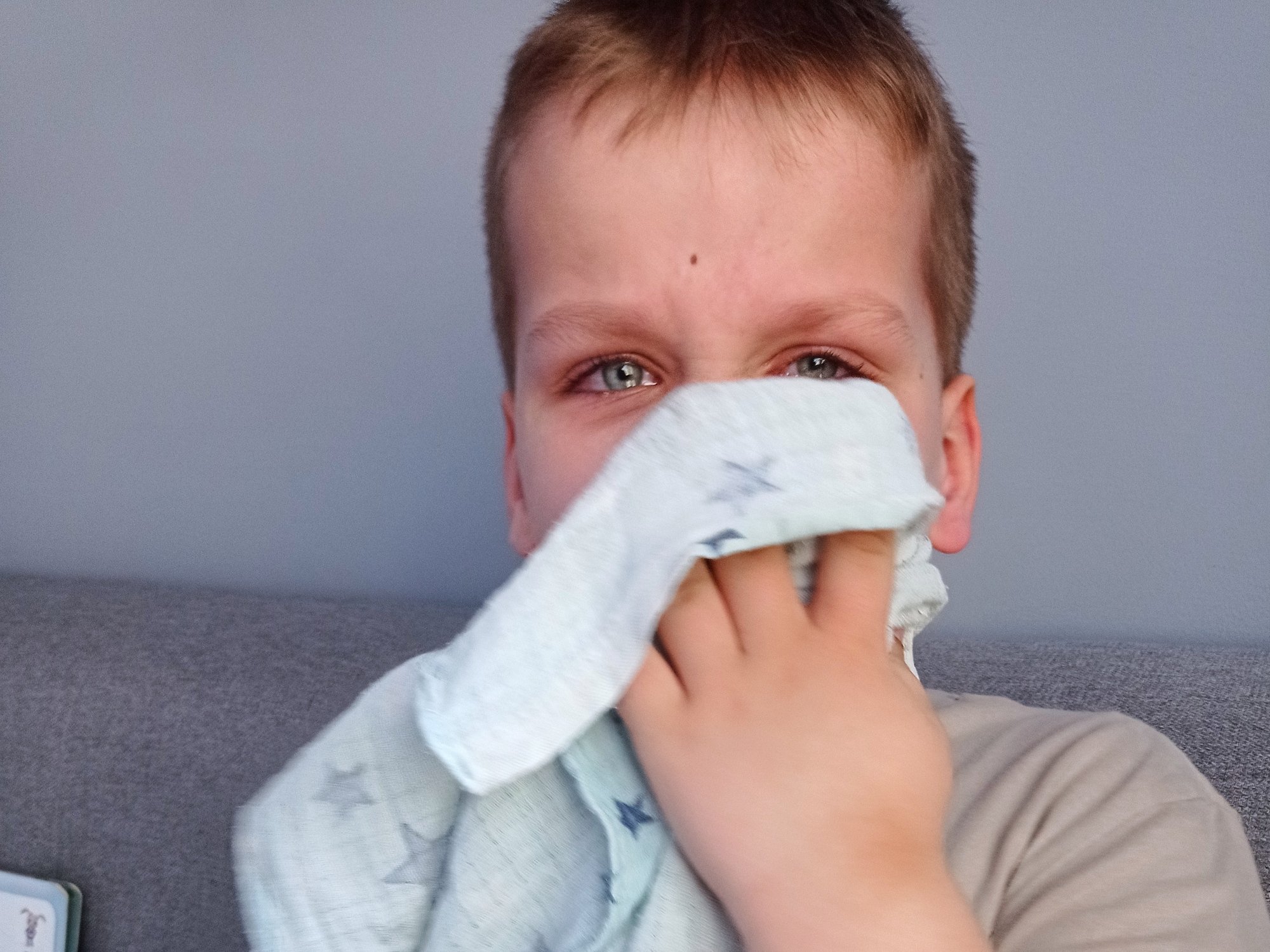 Miki Ociesa - zdjęcie główne