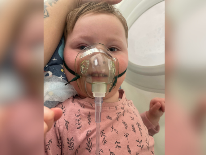 Zofia Pluta - zdjęcie główne