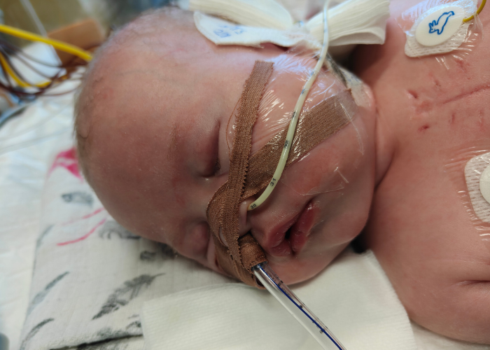 Blanka Kapała - main photo