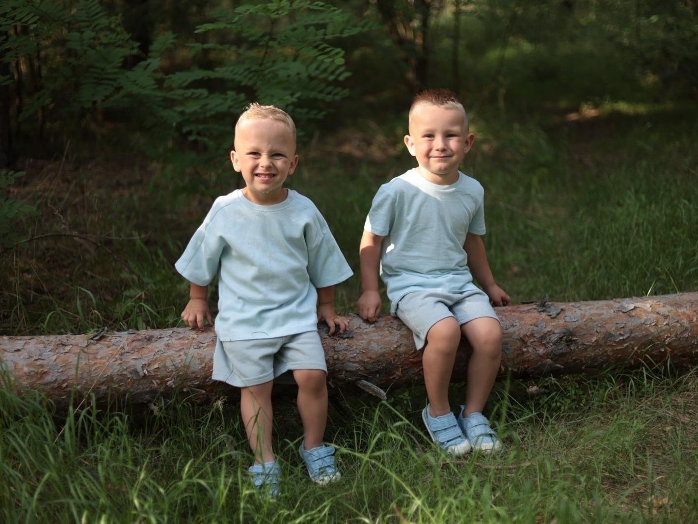 Hugo i&nbsp;Leon Osiewicz - zdjęcie główne