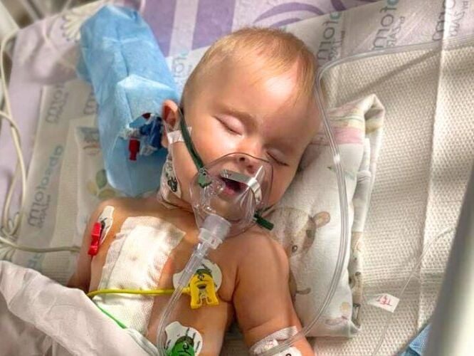 Zuzanna Ramza - zdjęcie główne