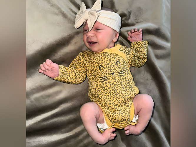 Amelia Pawlikowska - zdjęcie główne