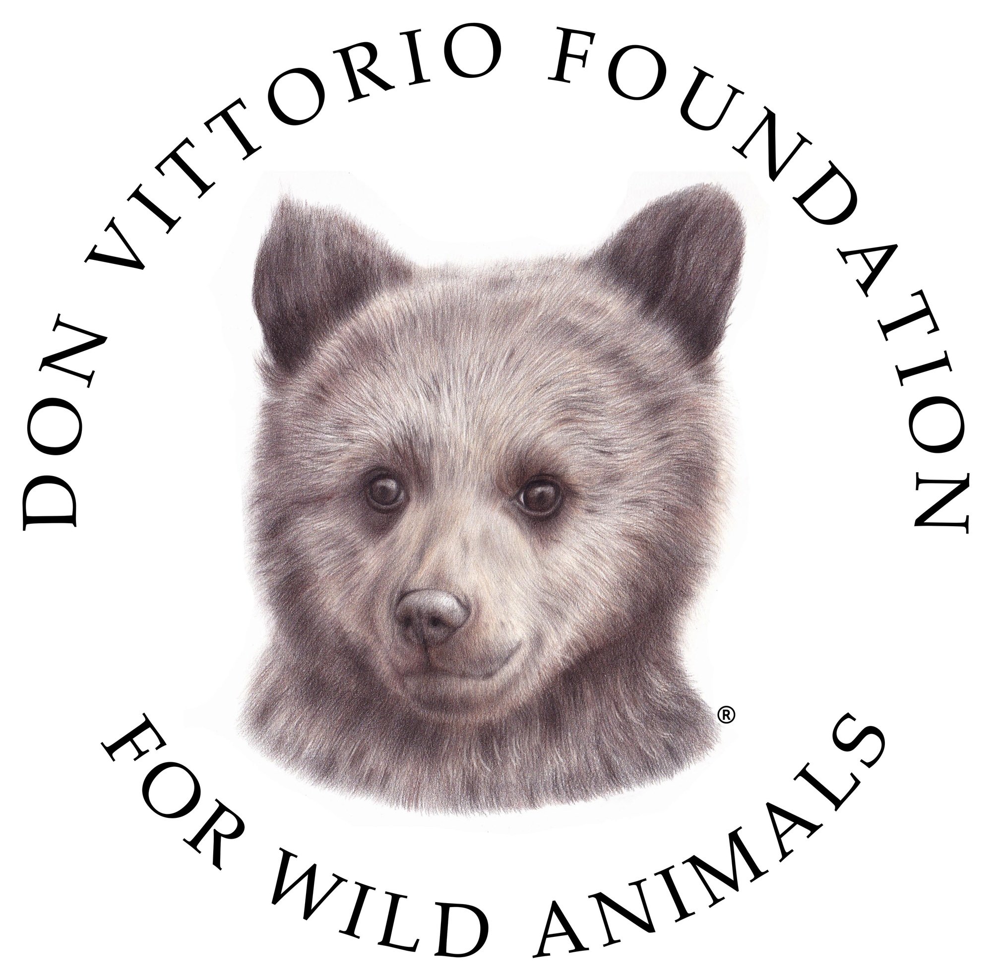Don Vittorio Foundation for Wild Animals - main photo