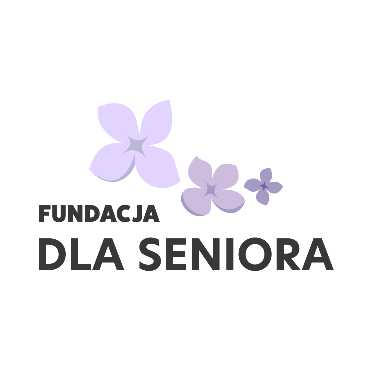 Fundacja dla Seniora - zdjęcie główne