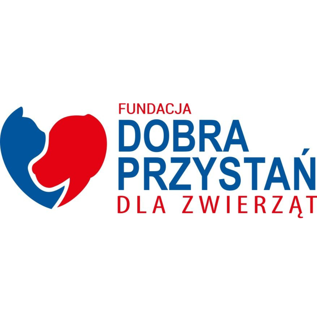 Fundacja Dobra Przystań dla&nbsp;Zwierząt - zdjęcie główne