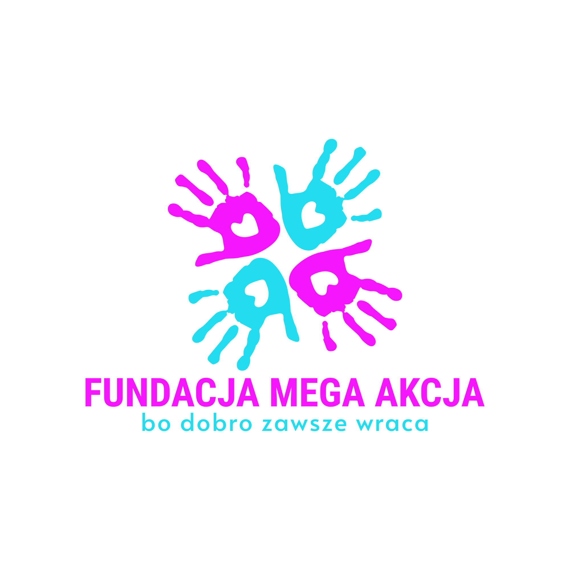 Fundacja Mega Akcja - main photo