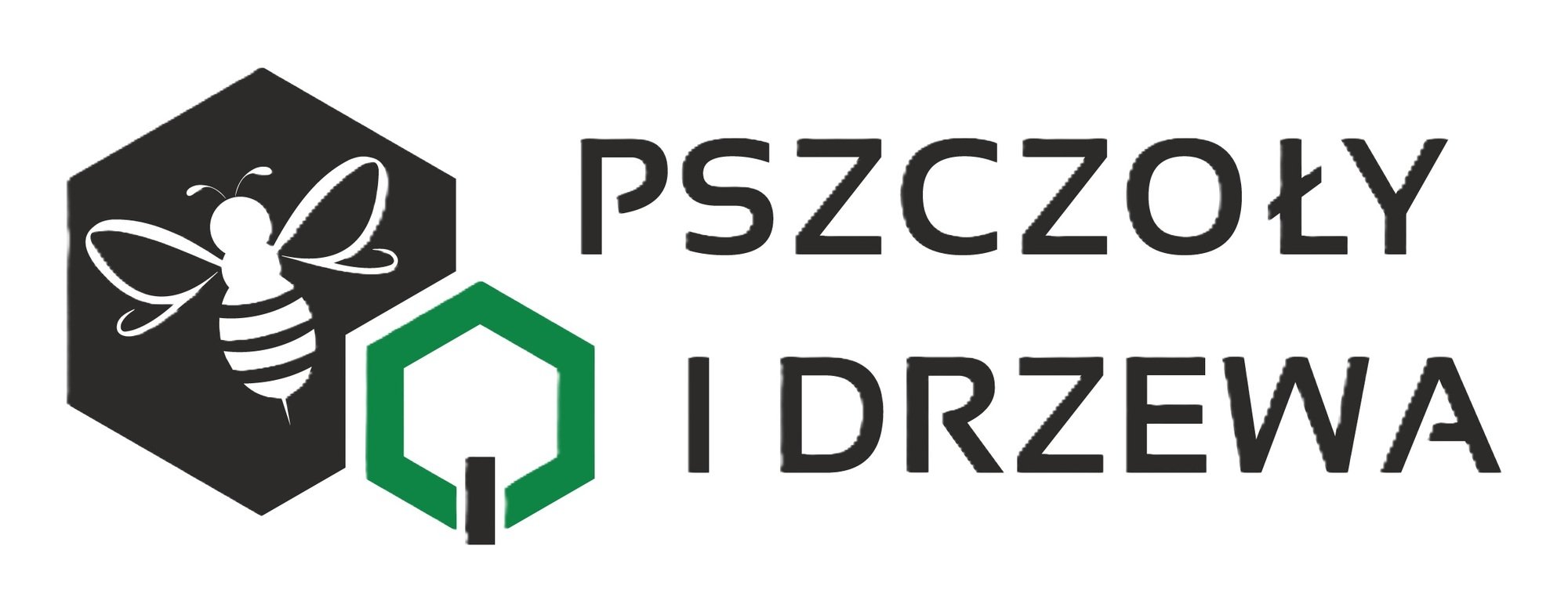 Fundacja Pszczoły i Drzewa - zdjęcie główne
