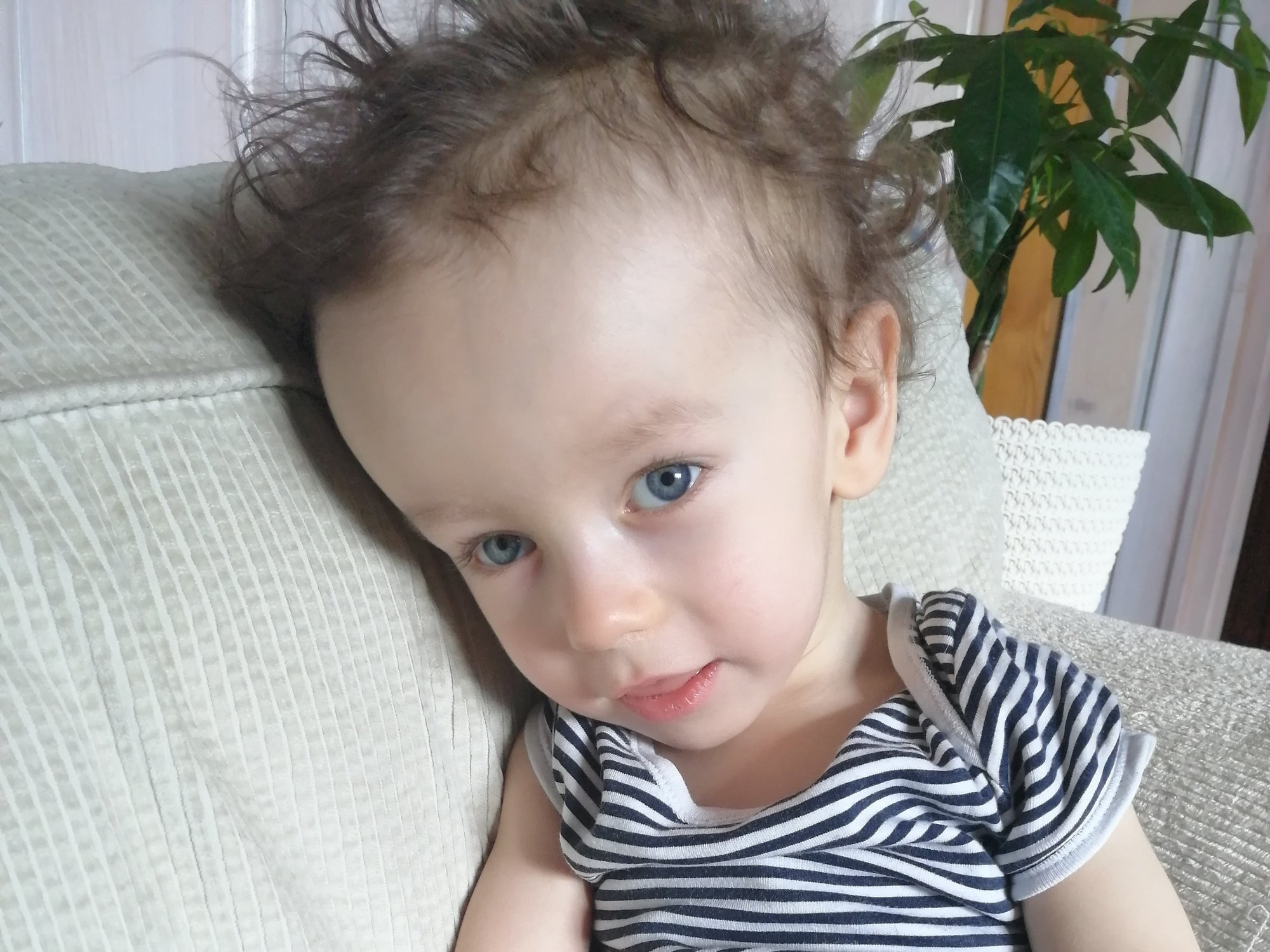 Kajetan Maciejowski - zdjęcie główne