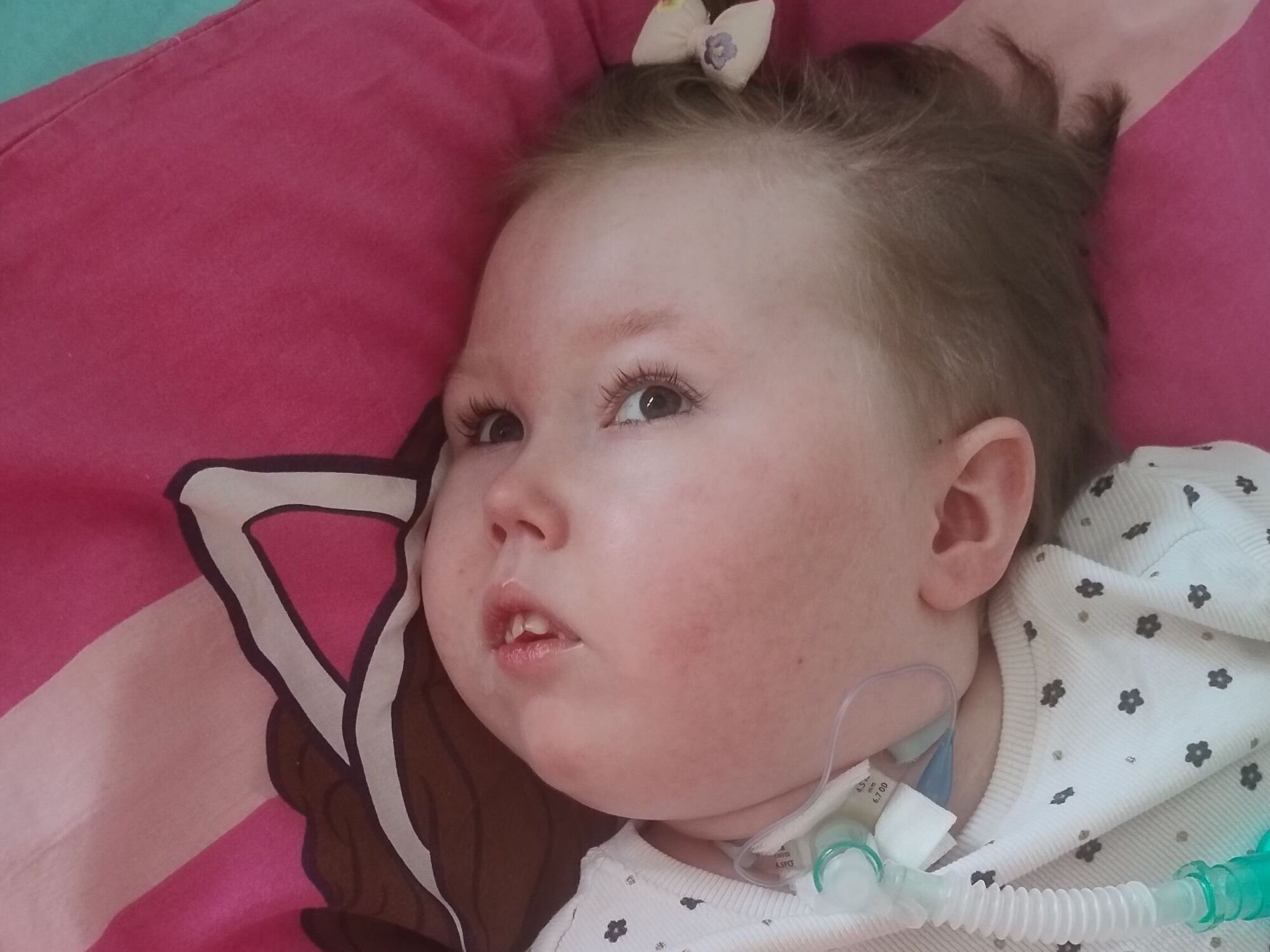 Pola Grabowska - zdjęcie główne