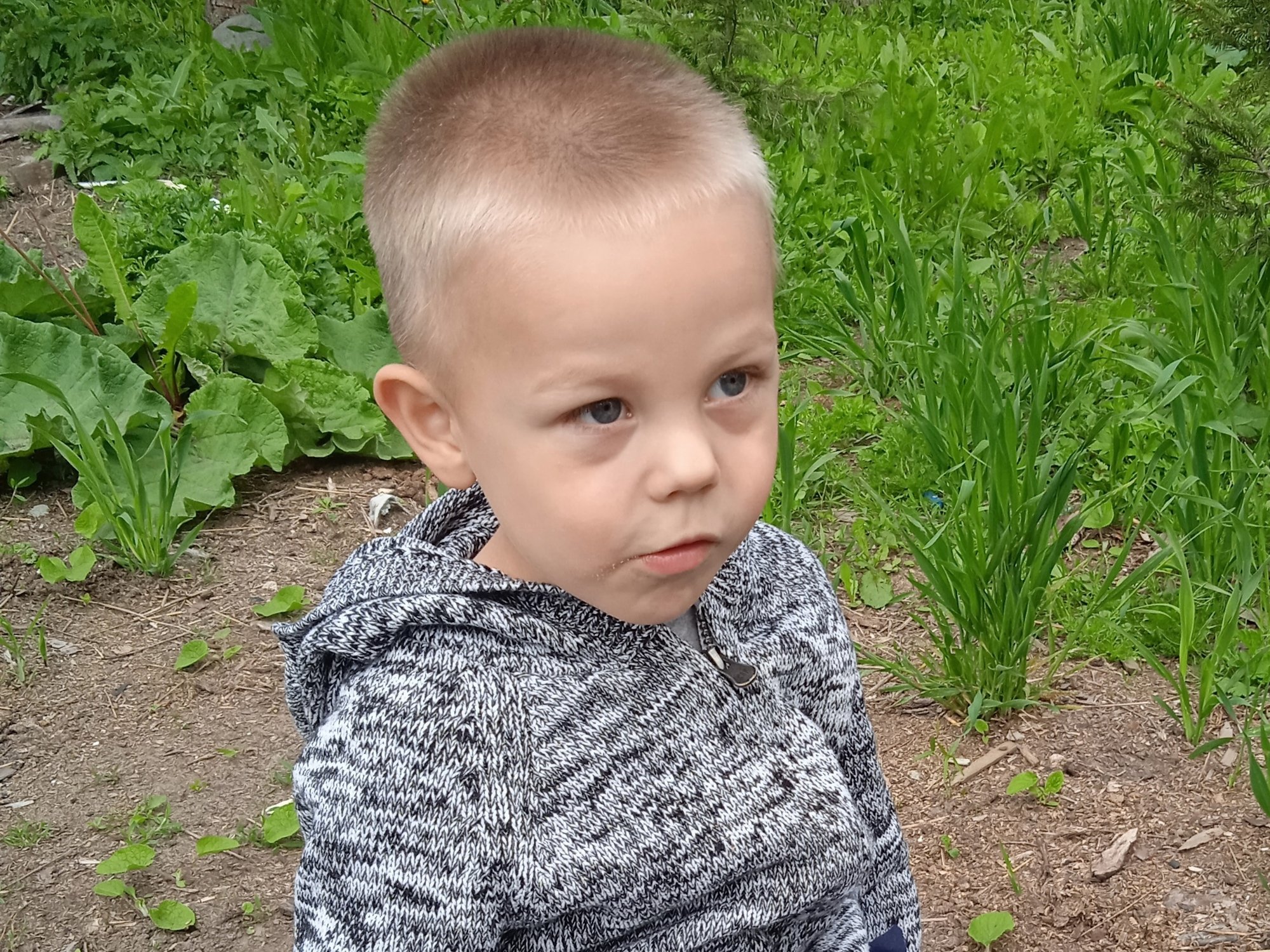 Alan Sitkiewicz - zdjęcie główne