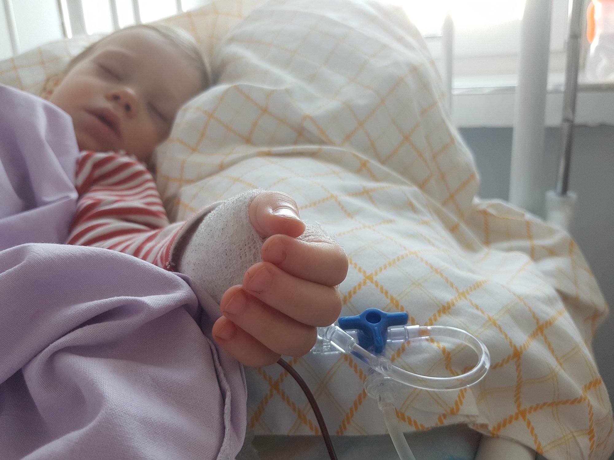 Hiacynta Sankiewicz - zdjęcie główne