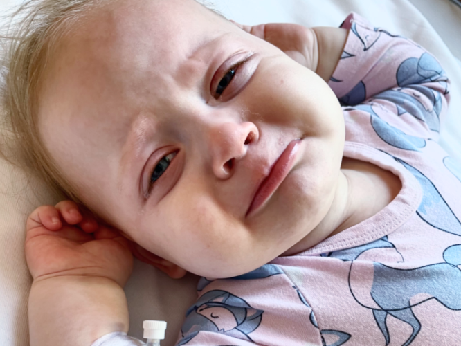 Zosia Pająk - main photo